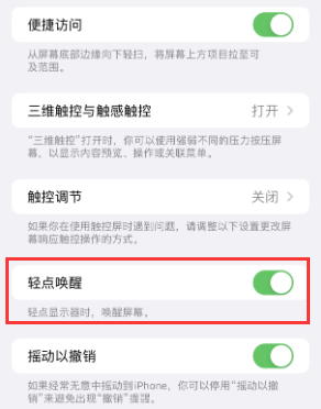 双台子苹果授权维修站分享iPhone轻点无法唤醒怎么办 