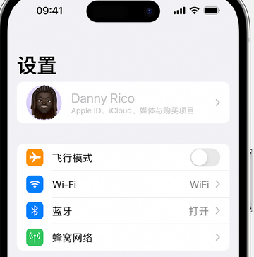 双台子appleID维修服务iPhone设置中Apple ID显示为灰色无法使用