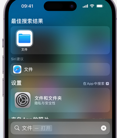 双台子apple维修中心分享iPhone文件应用中存储和找到下载文件 