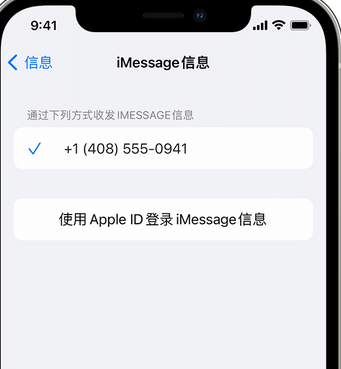 双台子apple维修iPhone上无法正常发送iMessage信息 