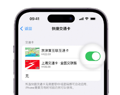 双台子apple维修点分享iPhone上更换Apple Pay快捷交通卡手绘卡面 