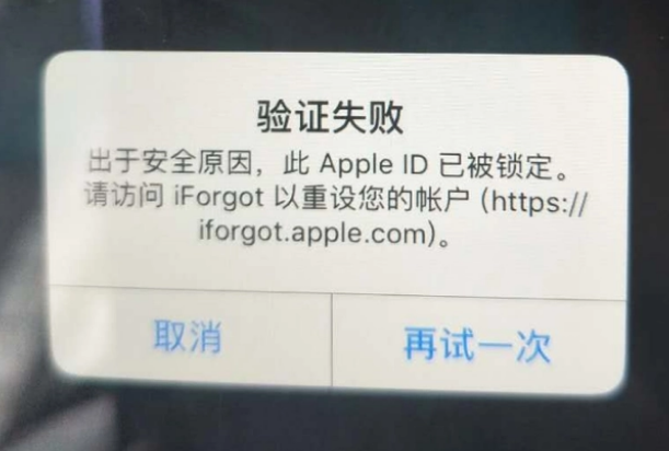 双台子iPhone维修分享iPhone上正常登录或使用AppleID怎么办 