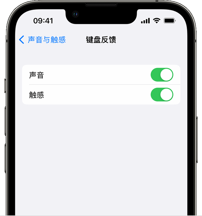 双台子苹果14维修店分享如何在 iPhone 14 机型中使用触感键盘 