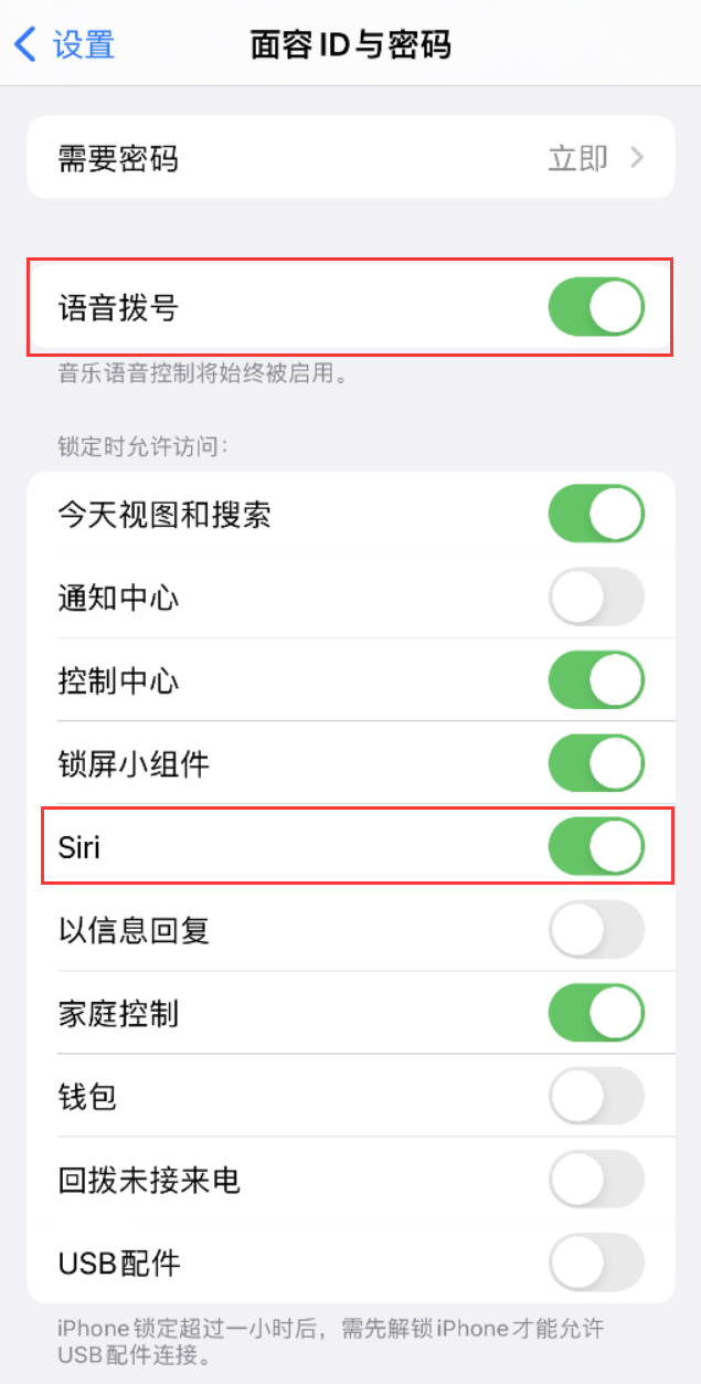 双台子苹果维修网点分享不解锁 iPhone 的情况下通过 Siri 拨打电话的方法 