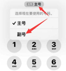 双台子苹果14维修店分享iPhone 14 Pro Max使用副卡打电话的方法 