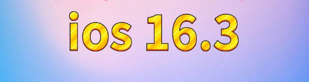 双台子苹果服务网点分享苹果iOS16.3升级反馈汇总 