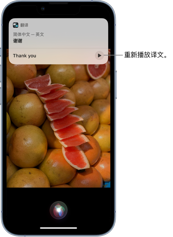 双台子苹果14维修分享 iPhone 14 机型中使用 Siri：了解 Siri 能帮你做什么 