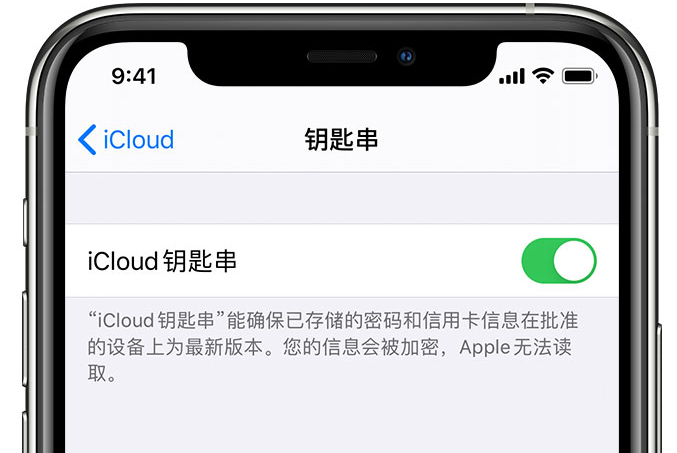双台子苹果手机维修分享在 iPhone 上开启 iCloud 钥匙串之后会储存哪些信息 