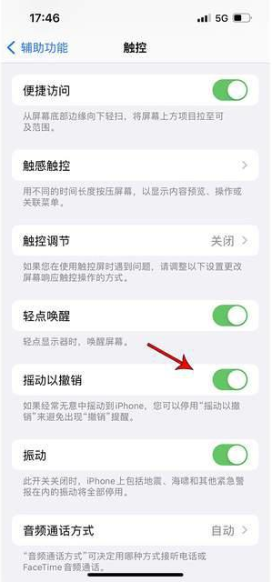 双台子苹果手机维修分享iPhone手机如何设置摇一摇删除文字 